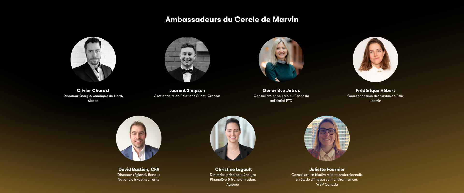 Ambassadeurs Cercle de Marvin.png
